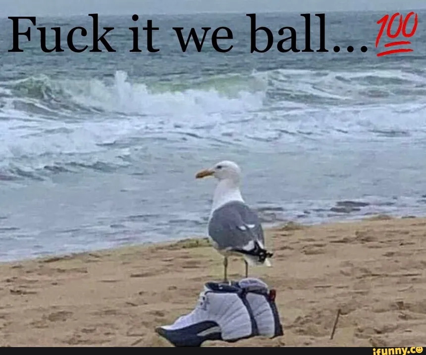 SEAGULL.WEBP