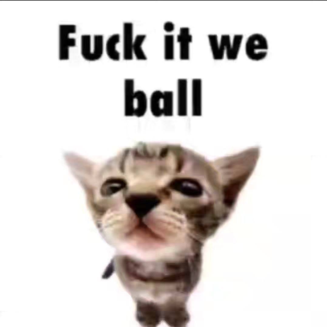 HAPPYCAT.JPG