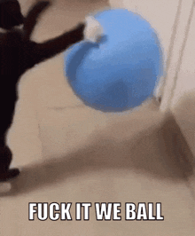 CATBALL.GIF